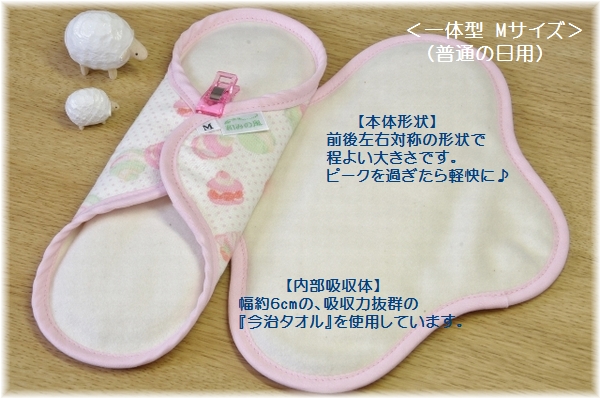 一体型Mサイズ説明