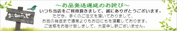 201604発送遅延お詫び