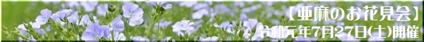 亜麻のお花見会イベントページ