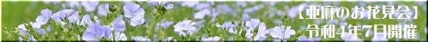 亜麻のお花見会イベントページ